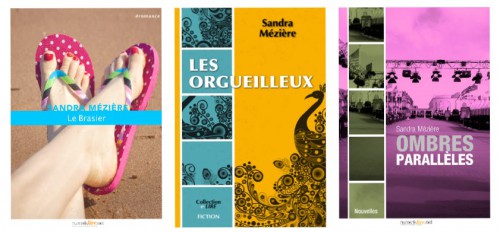 couverture des 3 romans.jpg