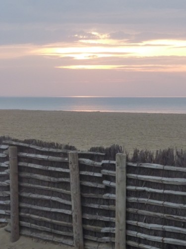 deauville, cinéma, film, festival, Asie