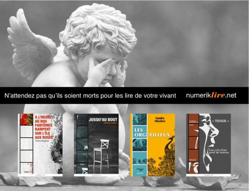 campagne editeur.jpg