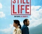 Critique de STILL LIFE de JIA ZHANG-KE en attendant MOUNTAINS MAY DEPART