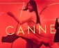 70ème Festival de Cannes  : compte rendu détaillé du Festival de Cannes 2017